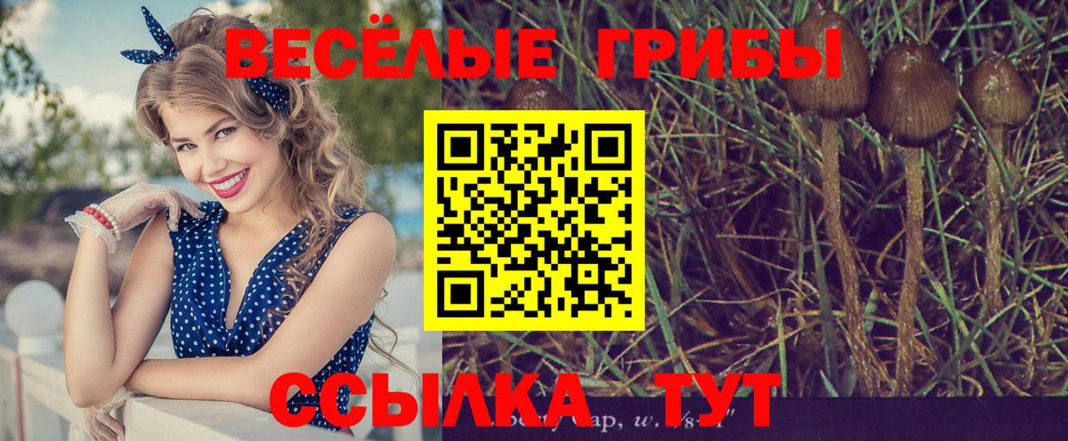 Псилоцибиновые грибы MAGIC MUSHROOMS Елизово